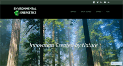Desktop Screenshot of environmentalenergetics.com